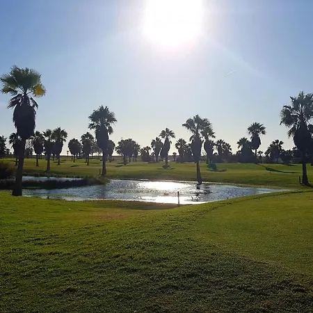 Albufeira, With Terrace, Views, 5 Min To Daire